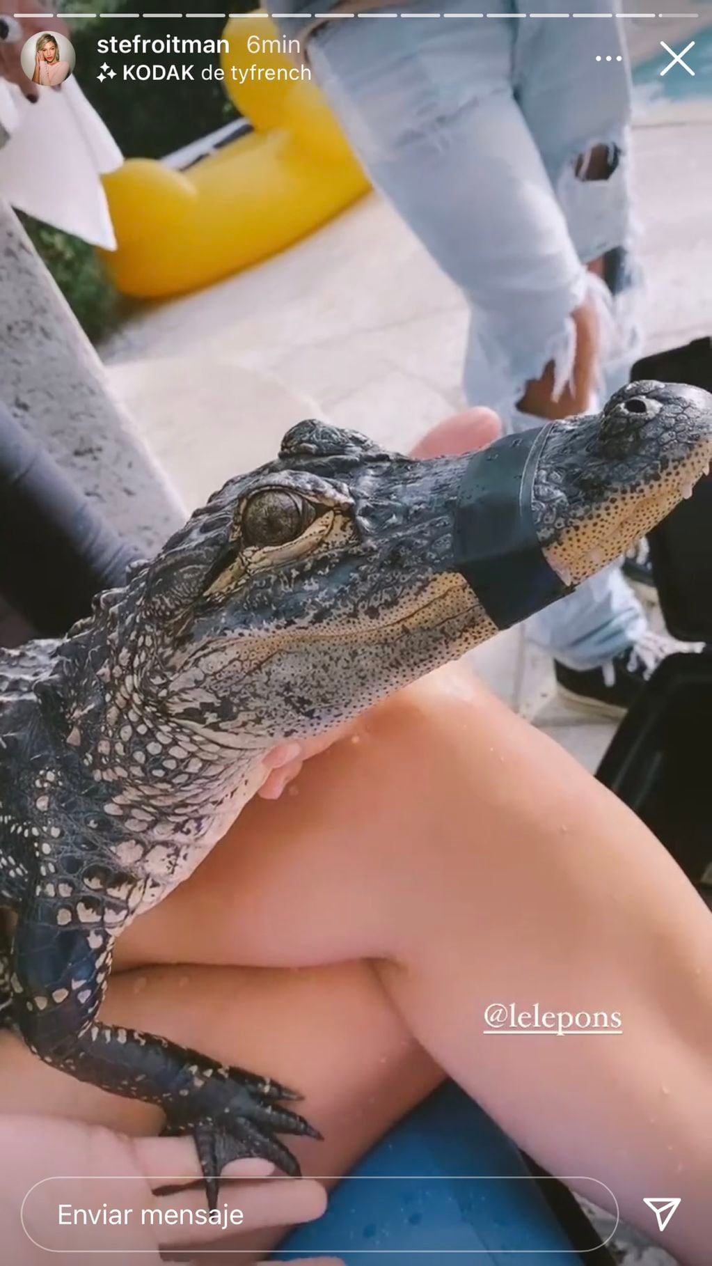 La influencer y la cantante compartieron imágenes junto a un cocodrilo en una pileta en Miami.