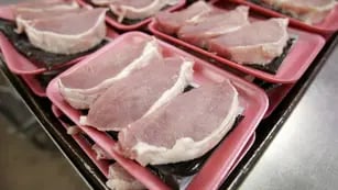 TRIQUINOSIS. Se contagia de la carne de cerdo contaminada cruda o mal cocida (AP).