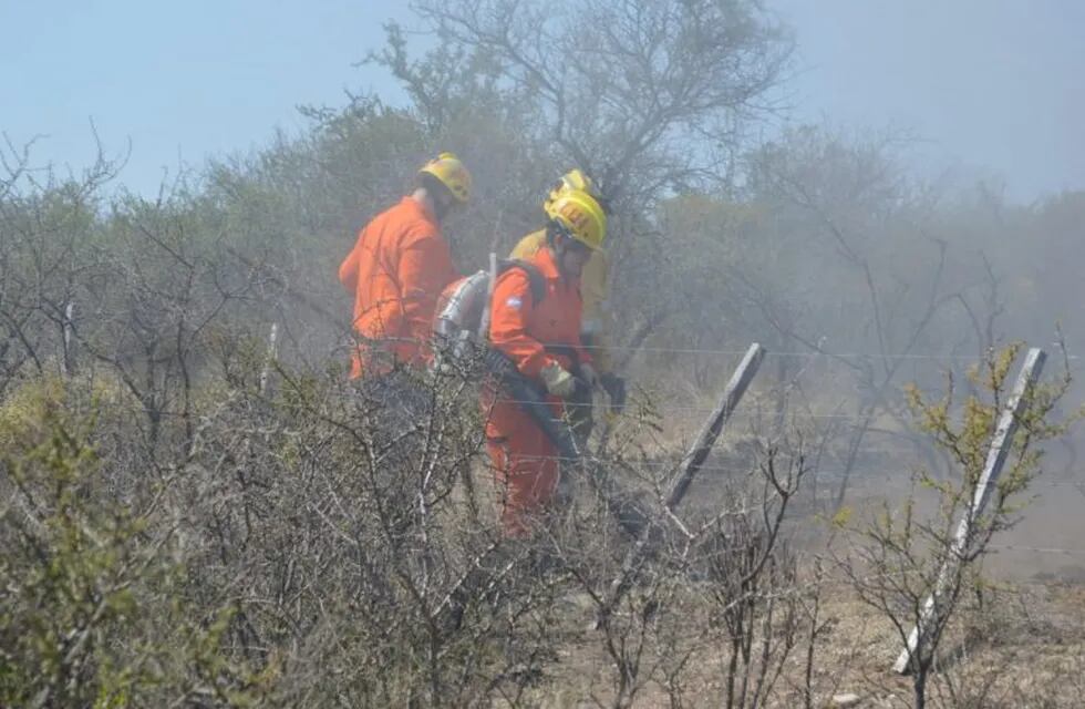 Incendio en el camino de Los Artesanos