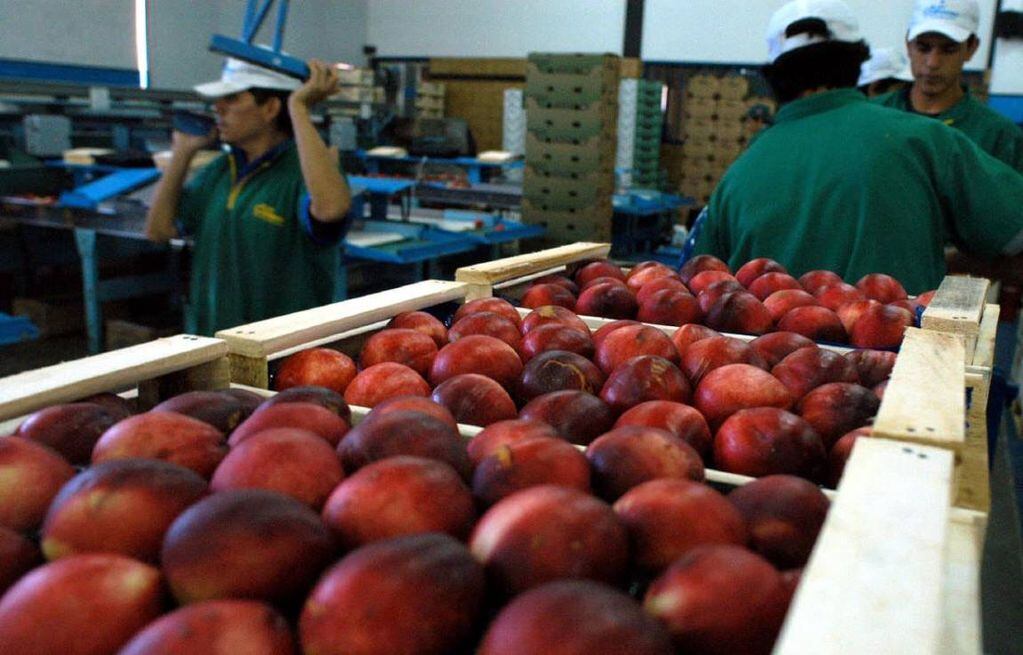 En un año cayó 68% la actividad del sector de frutas procesadas