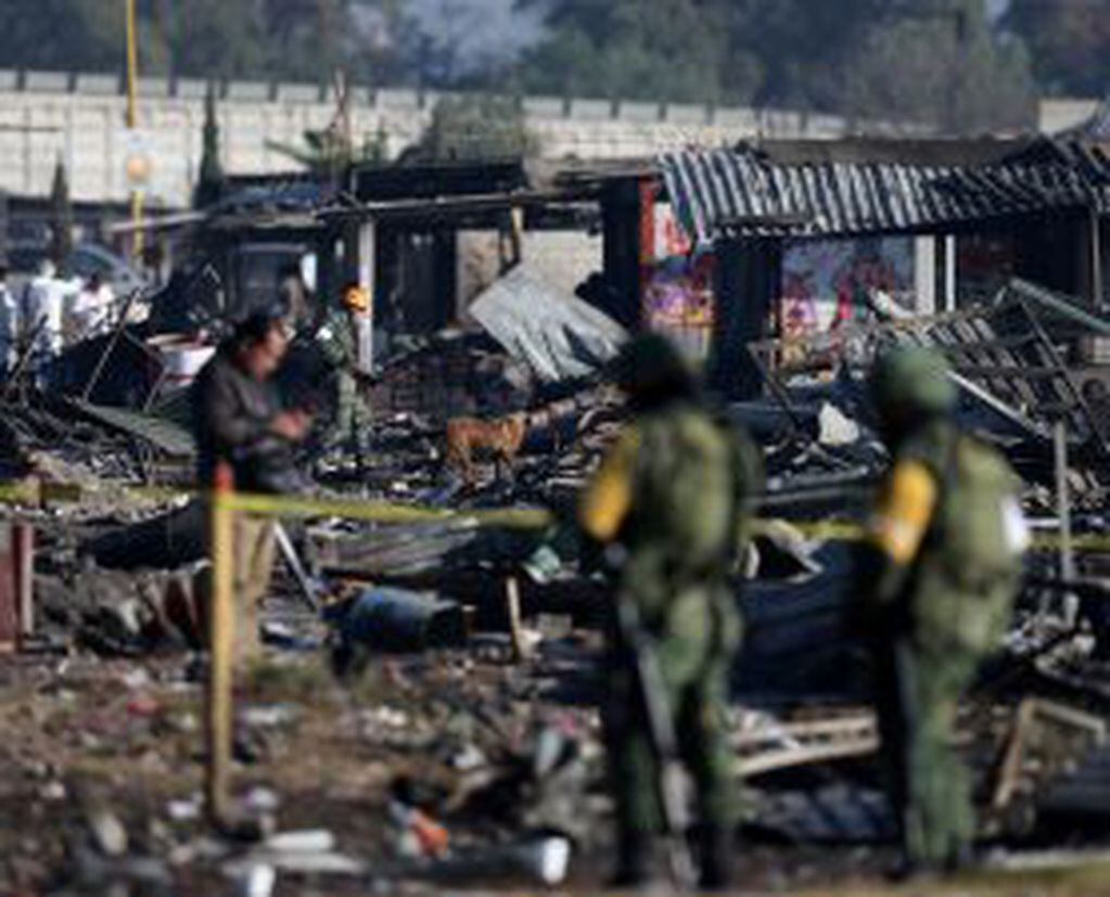 A handler and his dog walk amidst the wreckage of houses destroyed in an explosion at the San Pablito fireworks market outside the Mexican capital, in Tultepec, Mexico December 21, 2016. REUTERS/Edgard Garrido