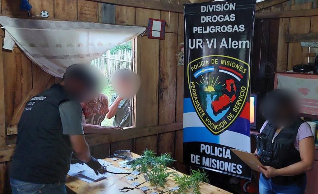 En un procedimiento por robo en San Javier, terminaron secuestrando plantines de marihuana.