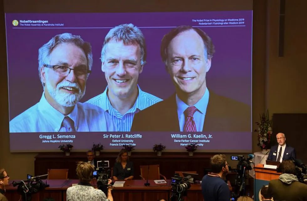 Los galardonados con el Nobel de Medicina de 2019. Foto: NACKSTRAND/AFP.