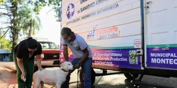 Zoonosis Municipal esterilizó a 1300 mascotas en el municipio de Montercalo