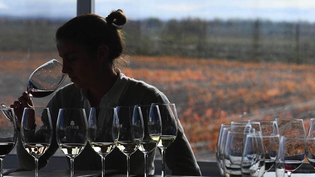 Mendoza 22 de Mayo de 2019  Rutini Wines en Gualtallary, Tupungato  especial para Guarda 14  Foto: Claudio Gutierrez Los Andes  
vinos bodega rutini vinos viñedos Valle de Uco 
Paisaje postales 