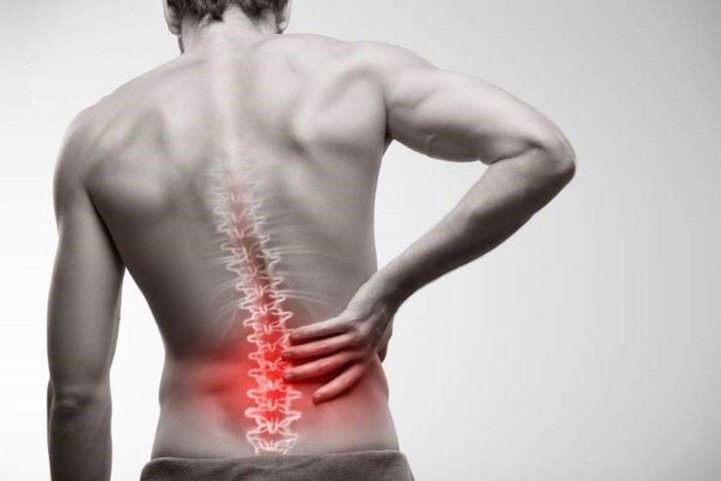 La lumbalgia es el dolor localizado en la parte inferior o baja de la espalda (web)