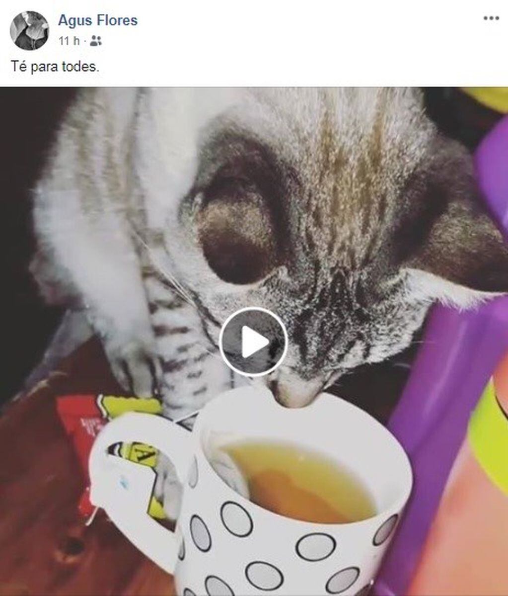 El video de NIcanor empezó a compartirse este martes en Facebook e Instagram. (Facebook)