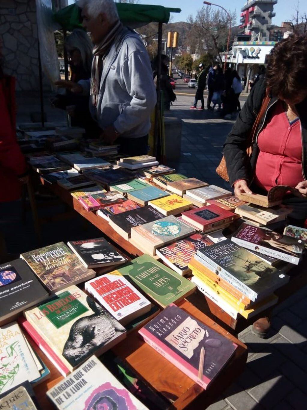 Más de 400 libros entre $20 y $150. (Foto: gentileza Mariel Aguirre).