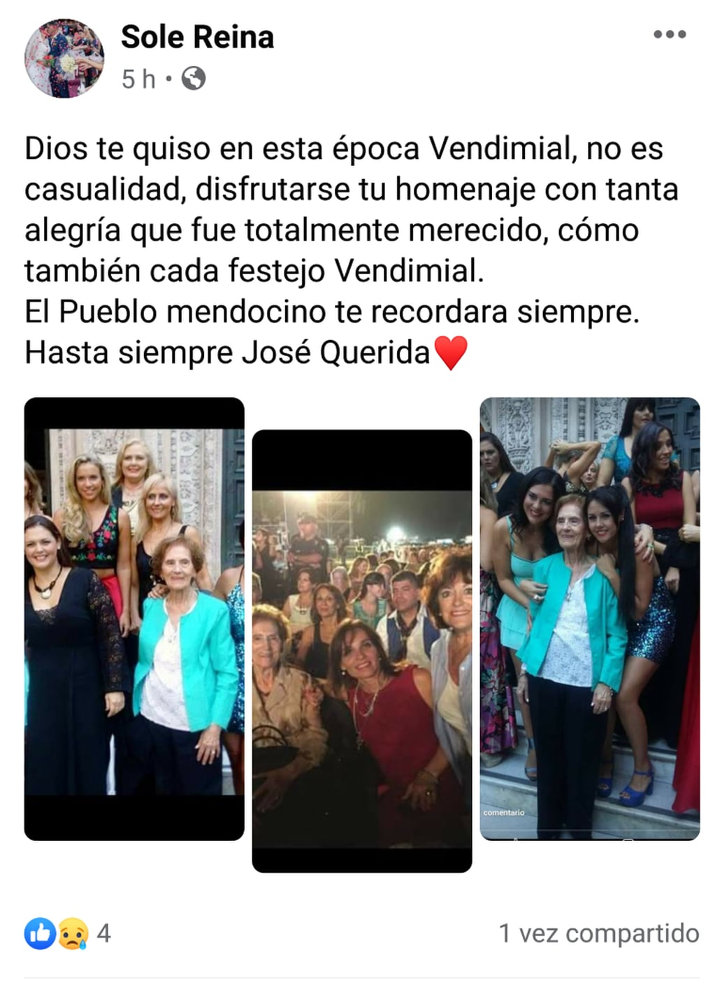 Posteo en Facebook de Soledad Reina.