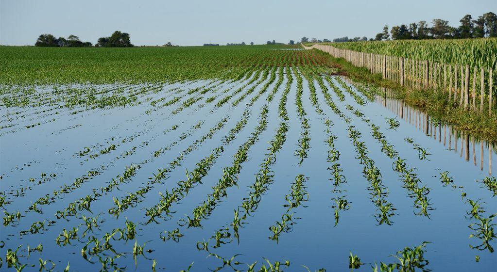 inundaciones en cultivos