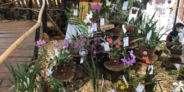Con una gran cantidad de concurrentes, se lanzó la Fiesta Provincial de la Flor y Nacional de la Orquídea en Montecarlo