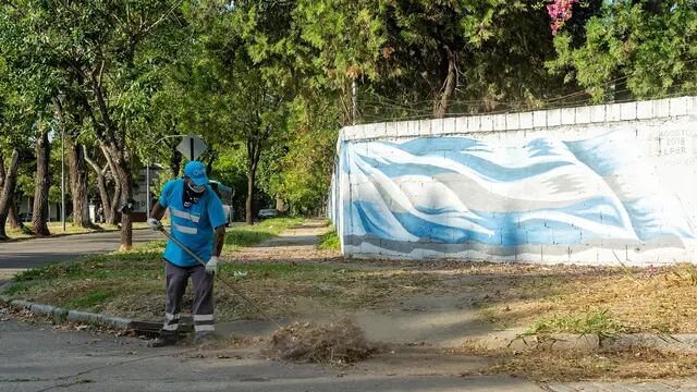 Recolección de residuos y barrido y limpieza en Rosario