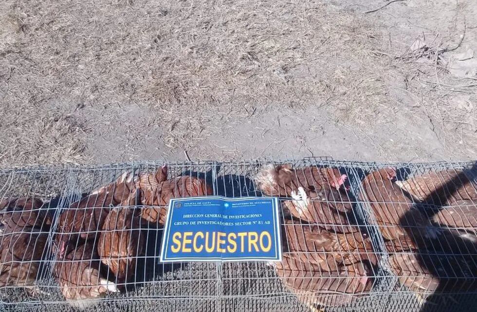 Dos ladrones de gallinas detenidos en Cerrillos. (Policía de Salta)