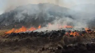 Incendios en Valle Fértil, San Juan.