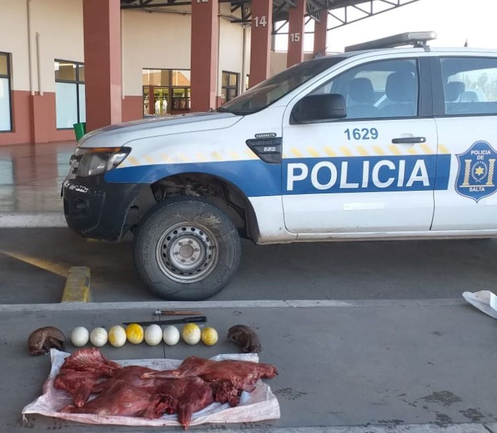 Detuvieron a dos hombres por robar ocho huevos de ñandú. (Policía de Salta)