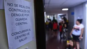 Dengue imparable en Córdoba: cuántos casos se sumaron en esta semana.