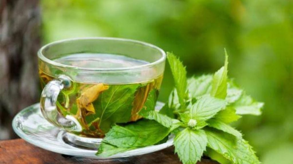 Cuáles son los beneficios y secretos de tomar té en hebras