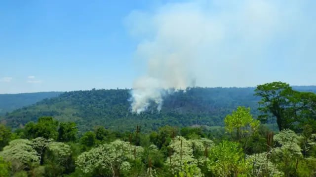 Nuevos focos de incendios se registran en la Reserva Yabotí
