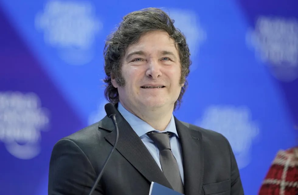 El presidente Javier Milei. AP / Markus Schreiber