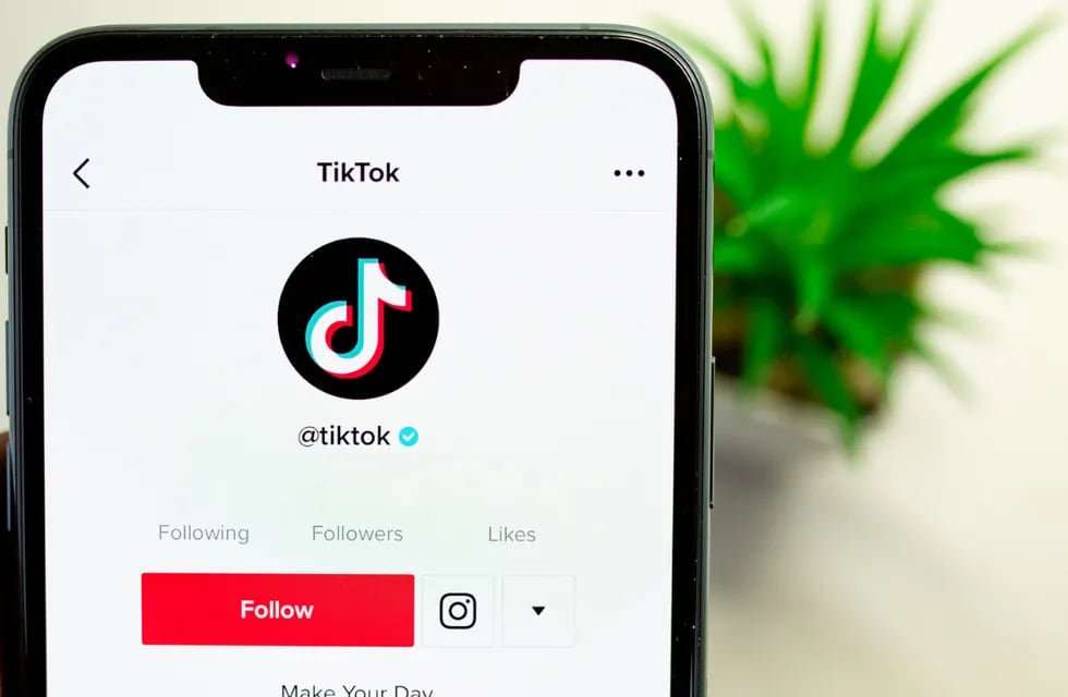 TikTok, la red social del momento que es furor y genera alarma.
