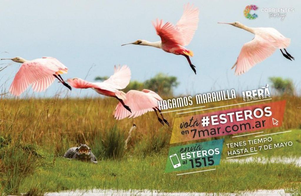 Votá por el Iberá para que sea unas de las 7 Maravillas Naturales Argentinas