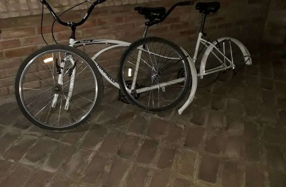 Bicicleta robada al escultor Raúl Ortiz