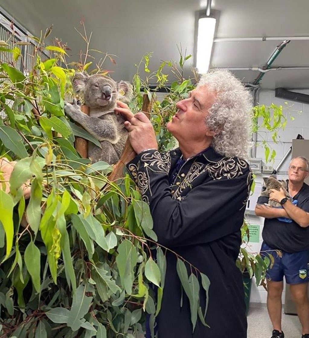 Brian May en una clínica veterinaria de Queensland.