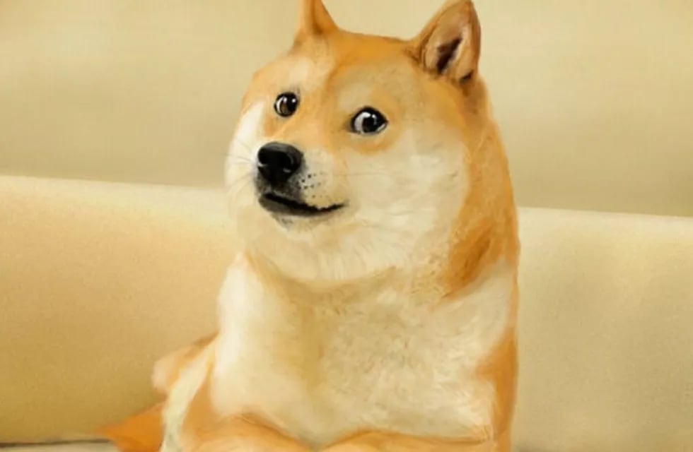 Doge es un perro Shiba Inu del meme de Internet.