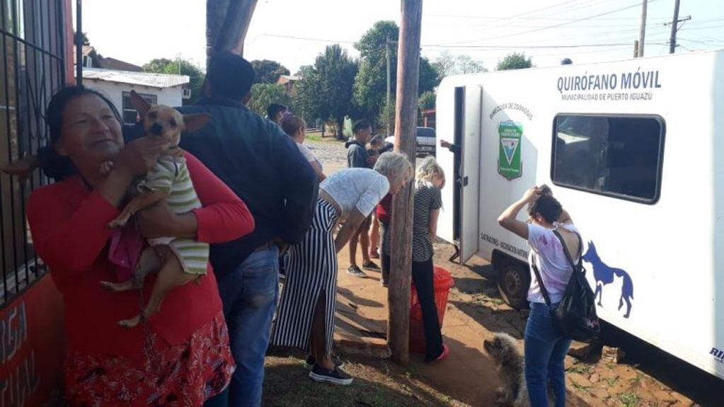 El quirófano móvil del municipio de Iguazú atiende esta semana en el barrio Granjas. (El Independiente)