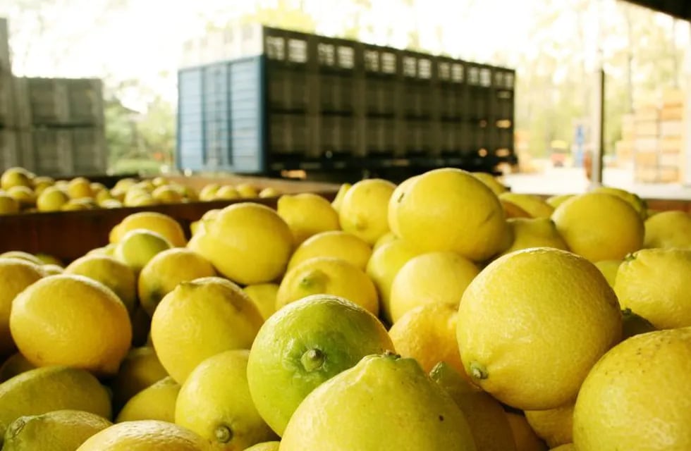 HANDOUT - ARCHIVO - Cajones de limones tras ser recogidos en algu00fan lugar no determinado de Argentina el 14/05/2007. (Vinculado al texto de dpa 