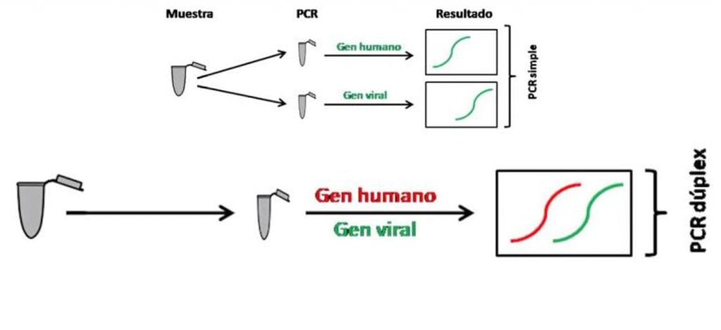 Investigadores UNSL simplifican testeos PCR