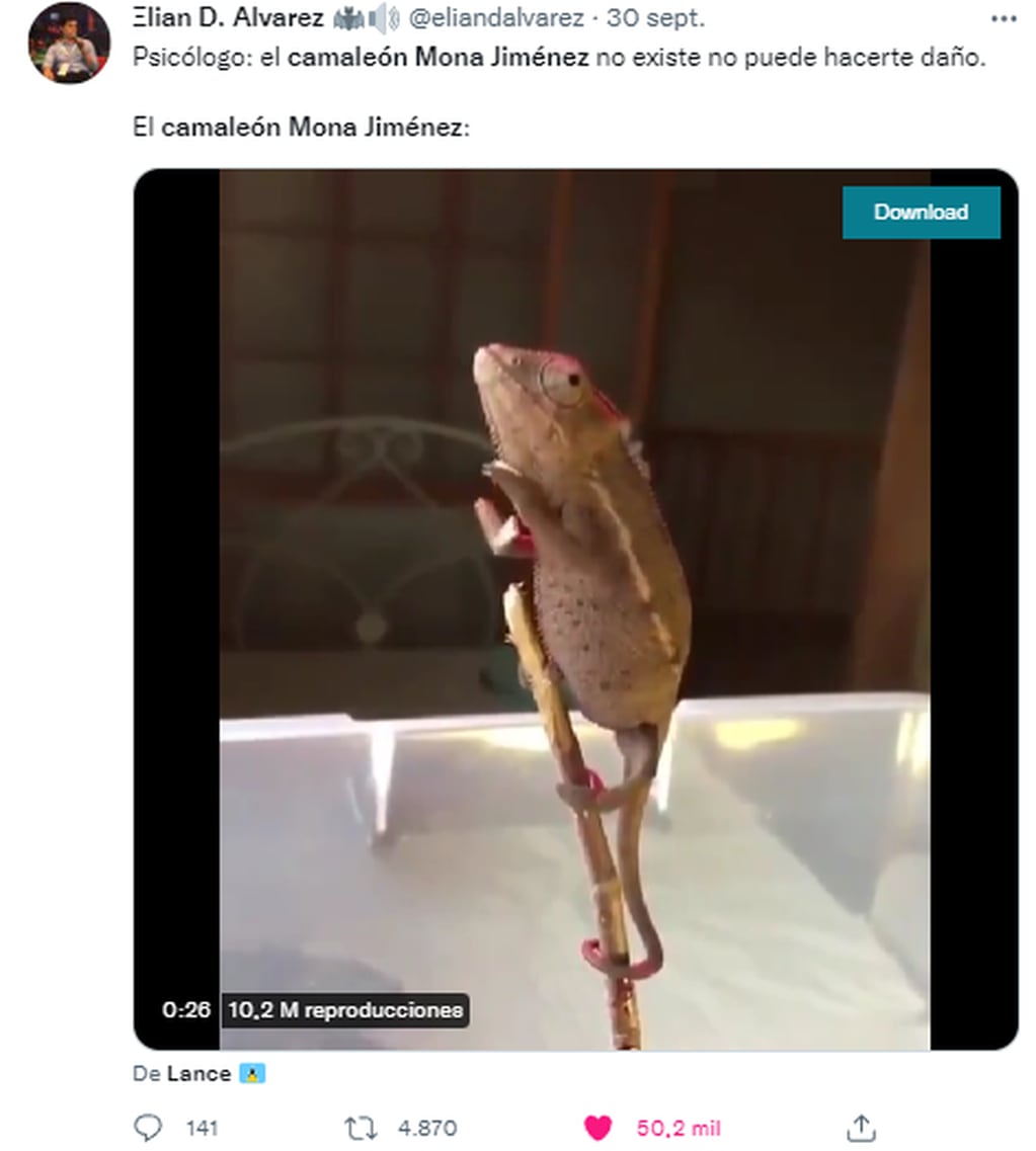 El tuit del camaleón Mona Jiménez suma más de 10 millones de reproducciones y 50 mil Me Gusta.