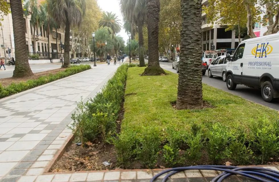 Remodelación arbolado y vegetación de boulevard Oroño (Flickr: Manolo74)