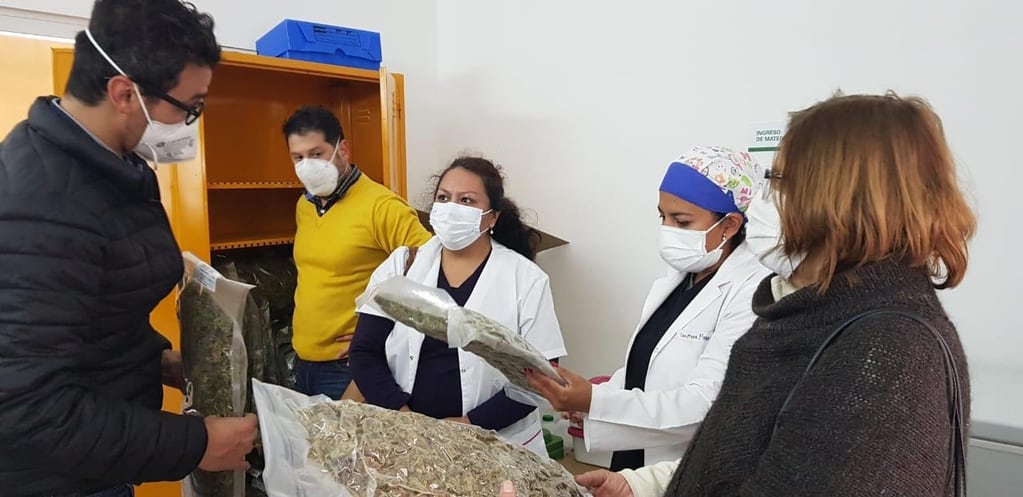 Miembros del equipo de trabajo de Cannava S.E. comentan con el presidente de la empresa estatal, Gastón Morales, características de muestras obtenidas en la Finca El Pongo.