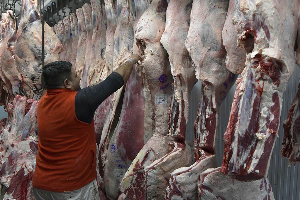 Mendoza 19 de mayo de 2021  Economía
Nuevas medidas económicas contra la exportación de las carnes, dispara el precio de la carne del consumo local.
Juan Carlos desposta , en el Frigorífico de José Brizuela.

Foto: Orlando Pelichotti / Los Andes
