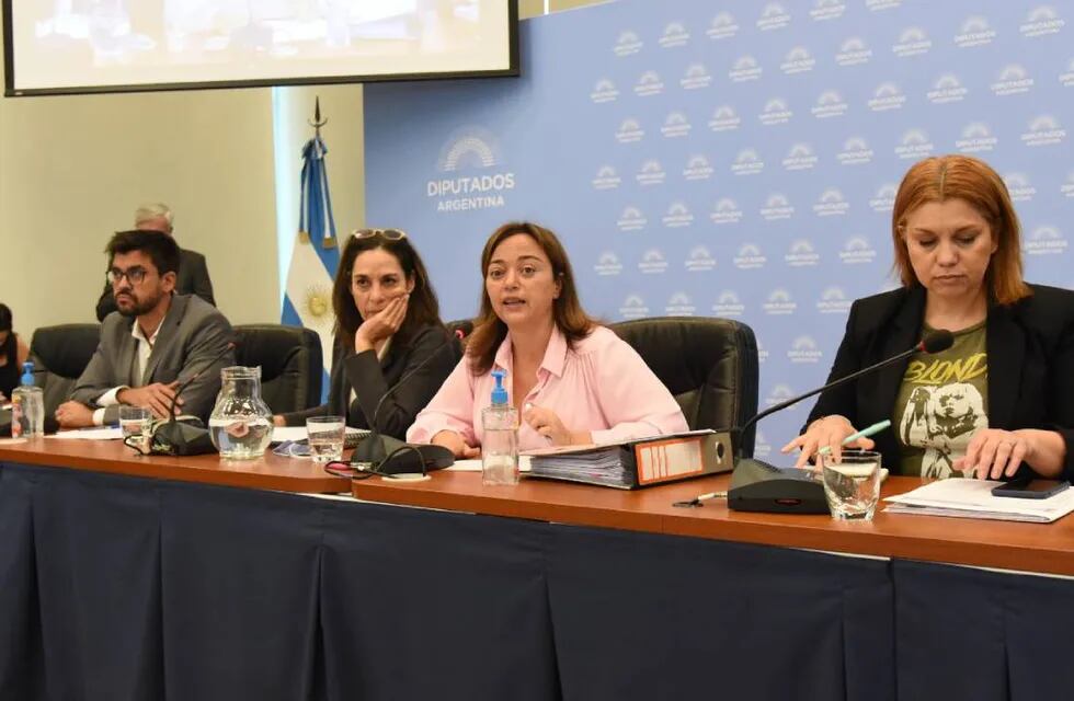 El Frente de Todos propondrá a Cecilia Moreau para suceder a Sergio Massa en la Cámara de Diputados. Foto: HCDN.