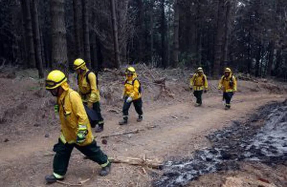 CH101. BIOBu00cdO (CHILE), 27/01/2017 Un grupo de bomberos colombianos comienzan los trabajos hoy, vienes 27 de enero de 2017, para ayudar a contener el fuego de un incendio forestal en la localidad de Palomares en la región del Biobío, ubicado aproximadament