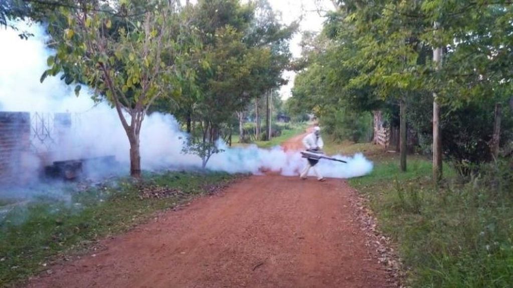 Fumigación contra el dengue en las ciudades de Eldorado, Candelaria y Wanda. (Min. de Salud)