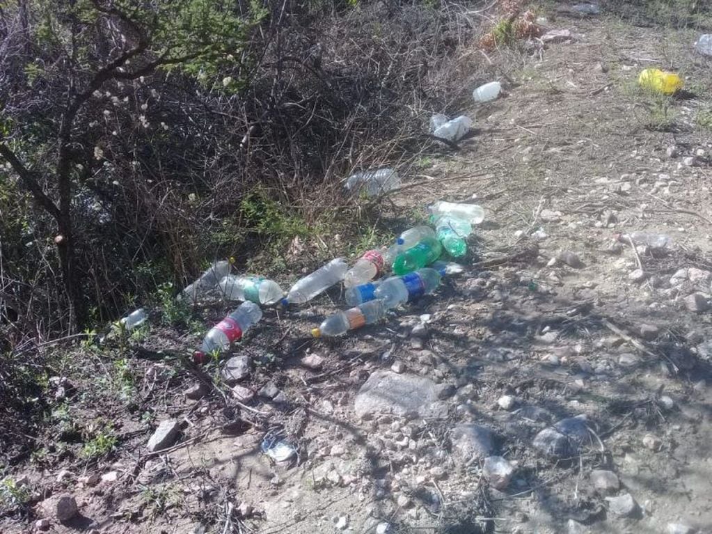 Se realizó la limpieza del área protegida en la zona de la Ex Cantera Municipal de Carlos Paz