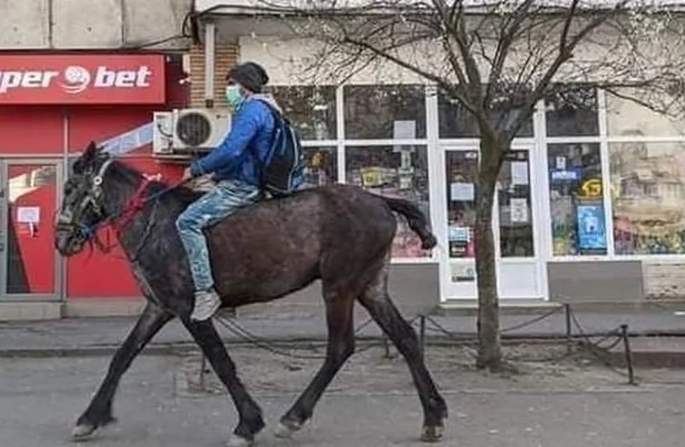 A caballo por la ciudad. Un joven sanjuanino robó una bicicleta y otros elementos montando un caballo. (Imagen ilustrativa)