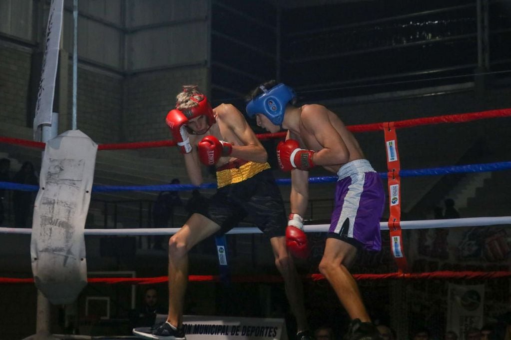 Boxeo en el Polideportivo Municipal de Tres Arroyos