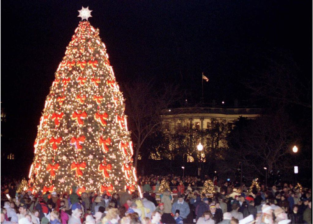 El 8 de diciembre es también una fecha tradicional porque se arma el árbol de Navidad y el pesebre. (Archivo).