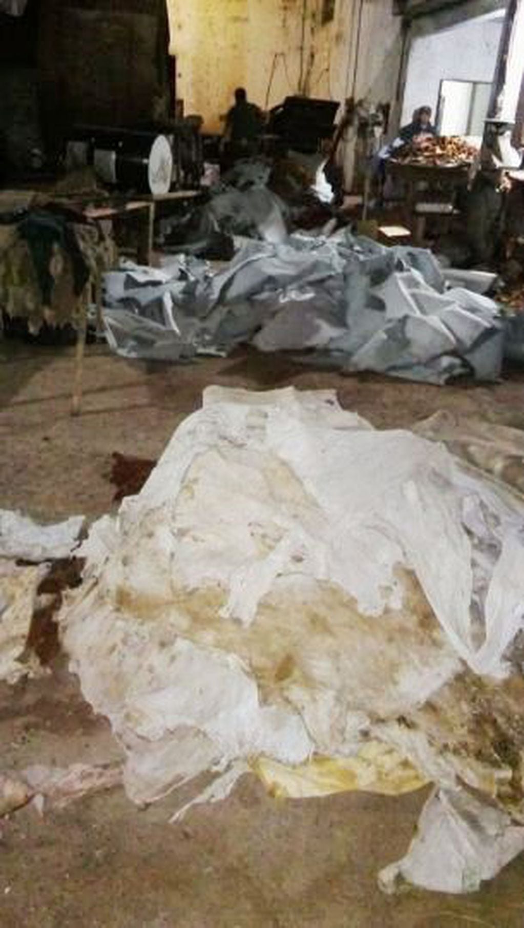 Secuestran más de 1200 cueros de carpinchos en dos talleres clandestinos