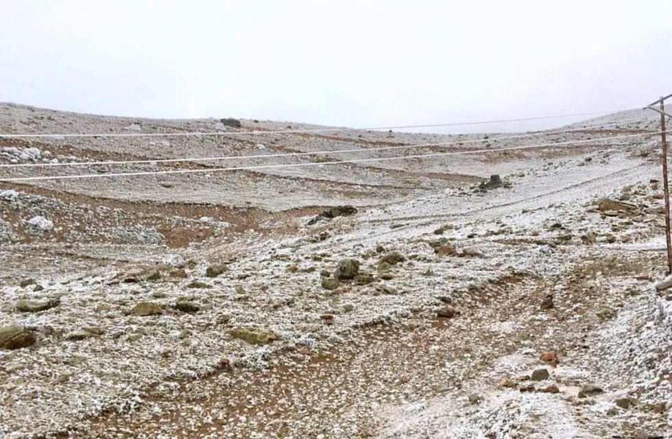 Aunque aún no ha nevado en la zona de Vallecitos, se puede observar un hermoso paisaje blanco. La razón es la cencellada blanca.