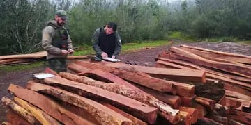 Incautan madera nativa en Cerro Corá