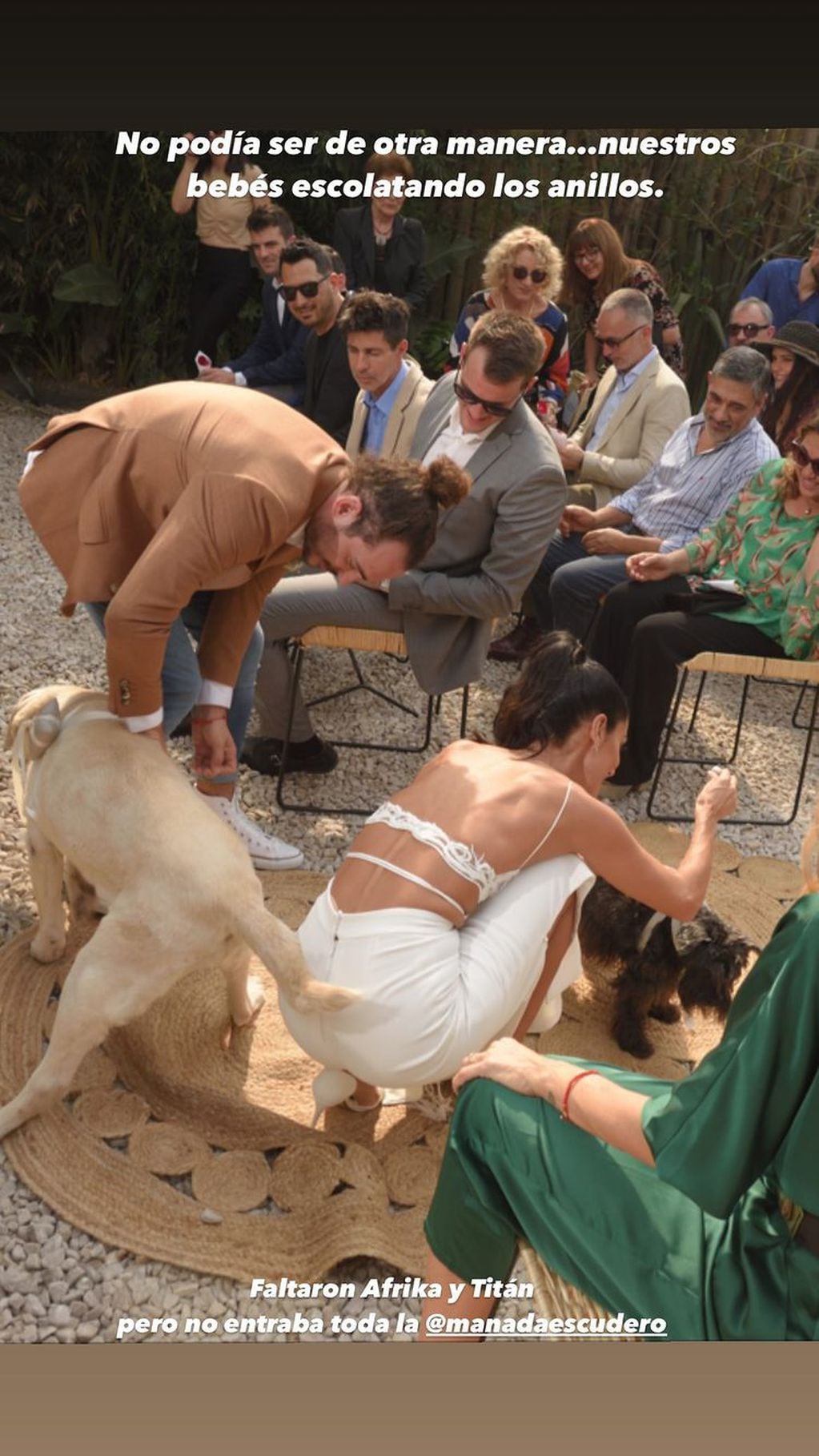 Silvina Escudero mostró el momento especial de su casamiento en el que participaron sus perros.