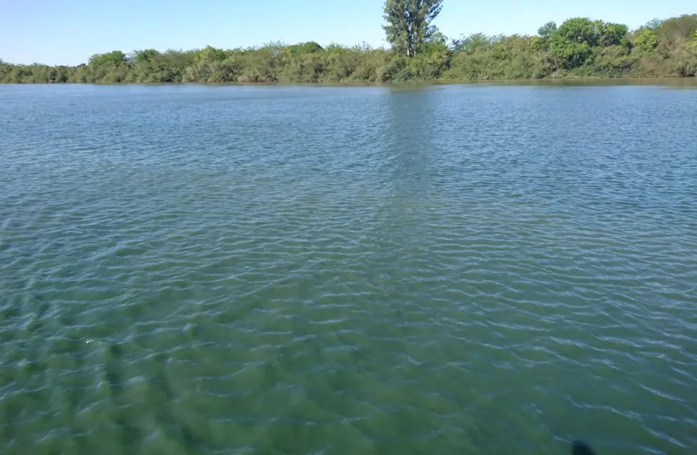 Cianobacterias o algas verdes en el río Gualeguaychú