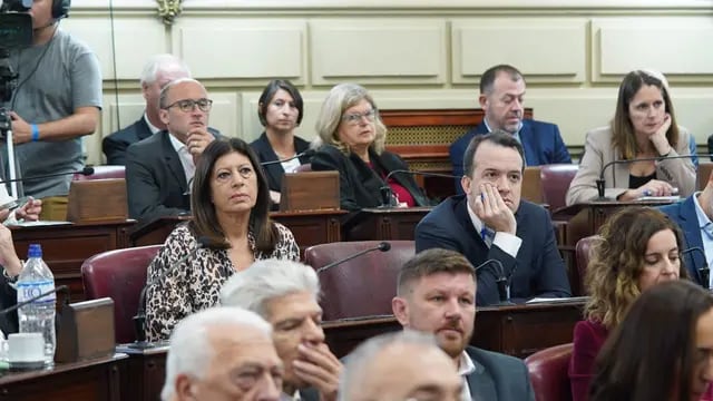 La oposición rechazó la mirada de Perotti en su último discurso