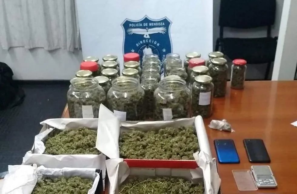 La marihuana que secuestró la Policía en una casa en Godoy Cruz.