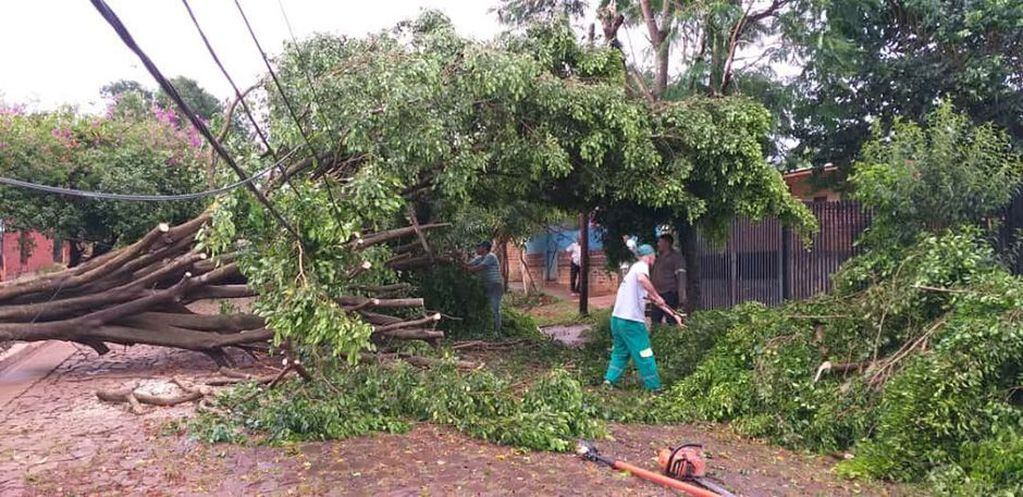 Fuerte temporal causó destrozos en Eldorado y zonas aledañas.